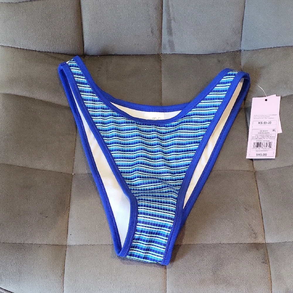 Blue Striped Bikini Bottom